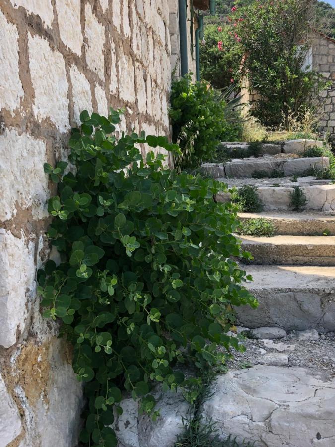 Villa Iva Lastovo Uble ภายนอก รูปภาพ